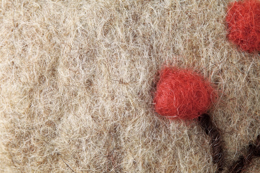 �ե���ȤΥߥ˥ݡ���