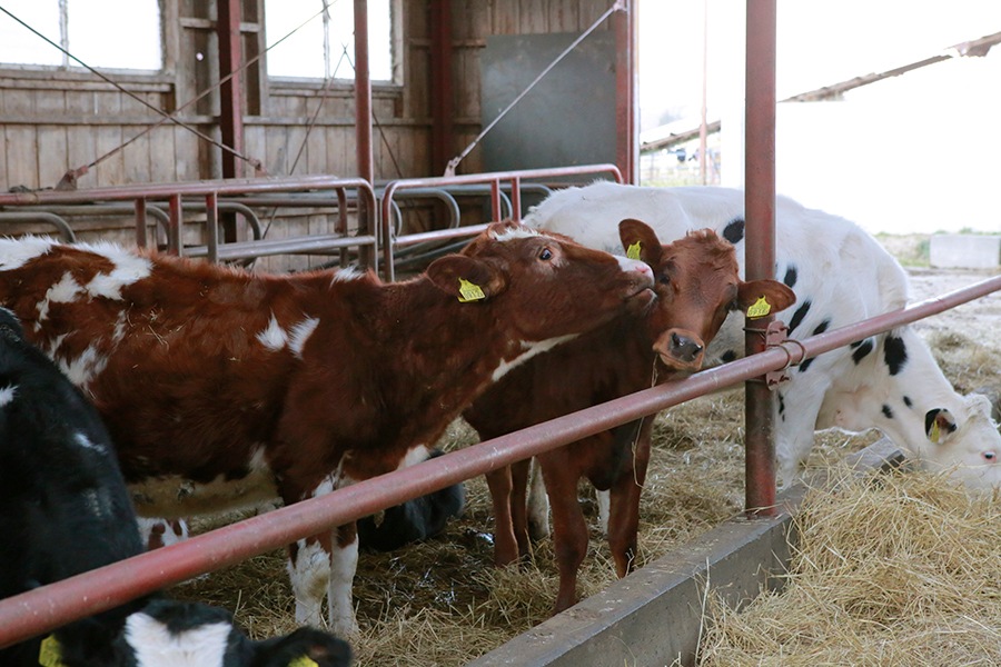 ȥХΥåȡڥΡץ쥤ե