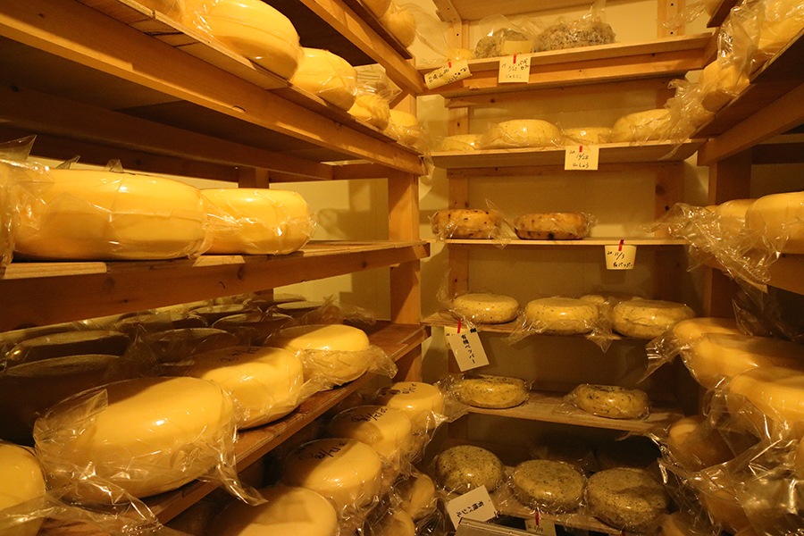 ȥХΥåȡڥΡץ쥤ե