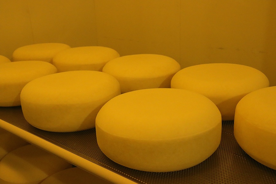 ȥХΥåȡڥΡץ쥤ե