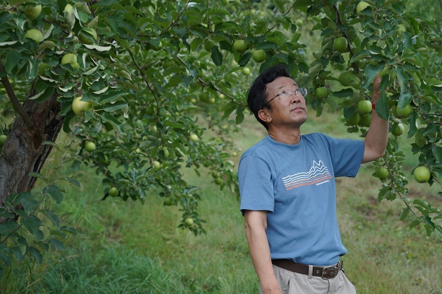 ��󥴳Ƽ�ͤ��碌���å�