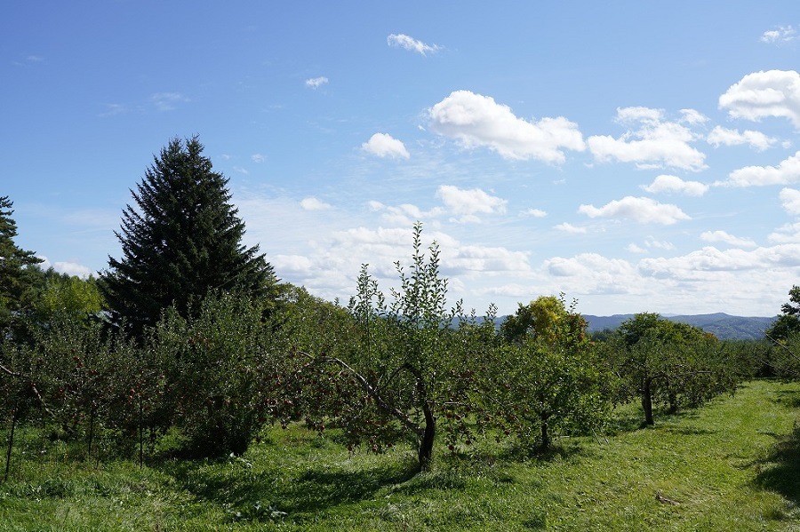 ����ե����塼�륻�å�