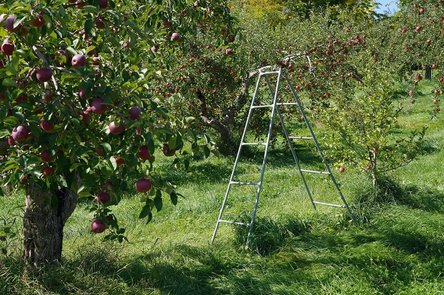 ����ե����塼�륻�å�