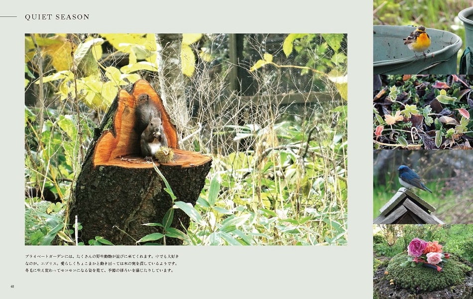 Les roses mon jardin���Х����餹�����������ӥ�����