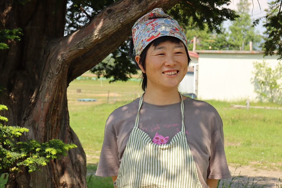 �᡼�᡼�Ʋۻ�BOX��