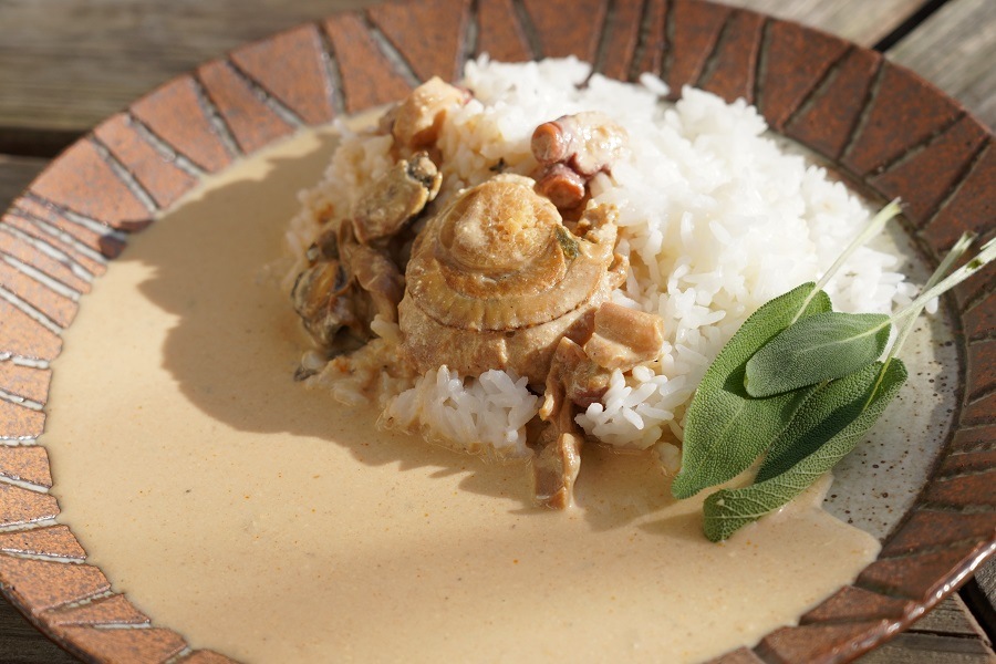 【坂田様】カレー　ココナッツ　ブラウニー　手作り　菓子　パン 4月15日(月)、カレーとチーズの最強コンビ「嵜本の焼き