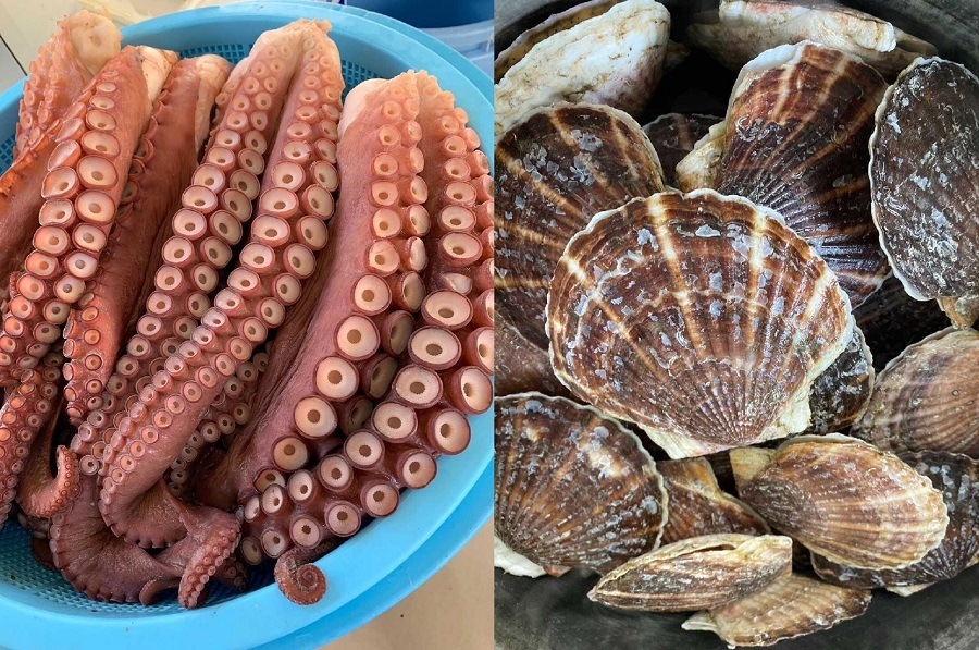 �����ʥåĥ����ա��ɥ��졼3�ĥ��å�