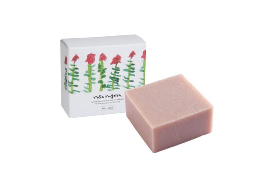 rosa��rugosa���С������ס������Ф����