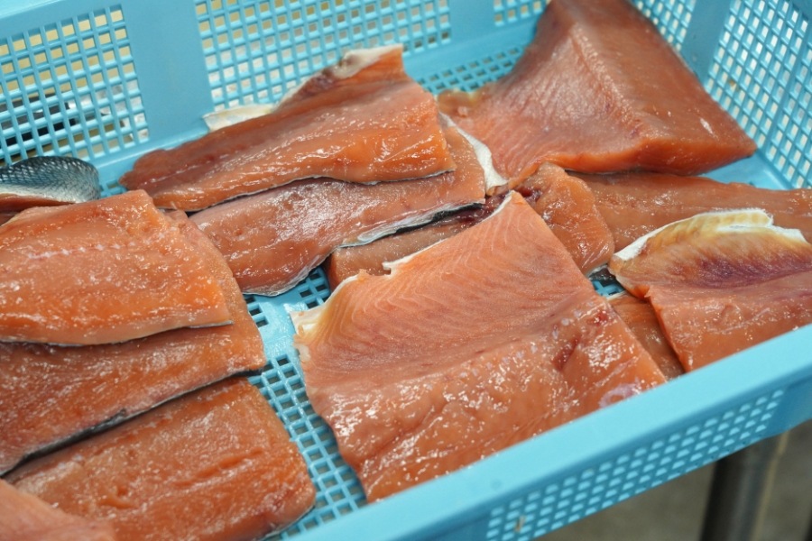 ���륤�٤��Ҥ�