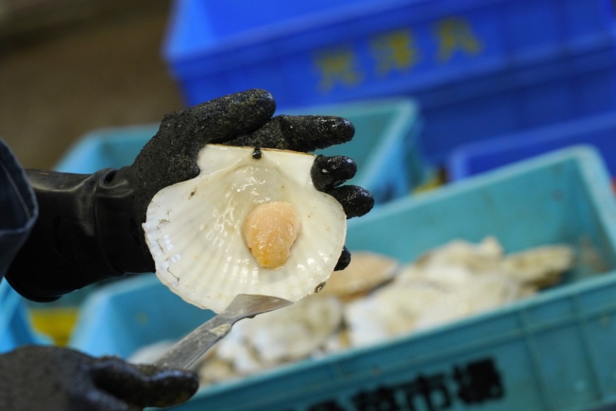 ���륤�٤��Ҥ�