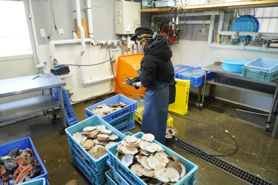 ���륤�٤��Ҥ�