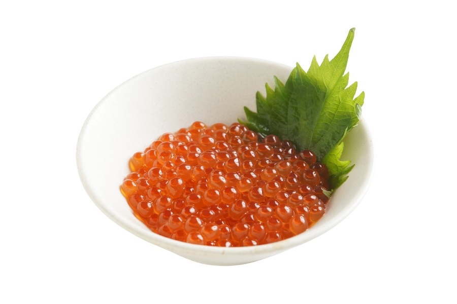 ����������Ҥ�