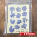 押し花 ラークスパー 12枚 ふじむらさき|押し花