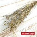【小分け】spdr  グレビレア 小分け 【ゴールド】|プリザーブドフラワー