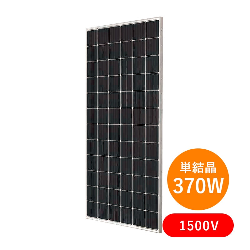 1_000000000906.jpg?1762937104