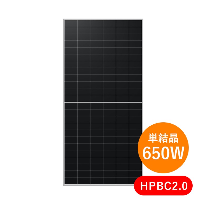 1_000000000926.jpg?1768451861