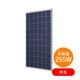 30%OFF����¿�뾽255W ��š�S-Energy ���۸��ѥͥ� SM-255PC8