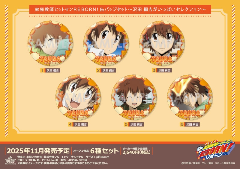 家庭教師ヒットマンREBORN! 缶バッジセット～沢田 綱吉がいっぱい