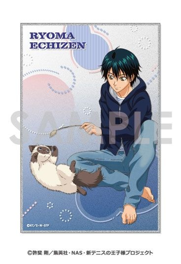 激レア　テニスの王子様 ヘアくりっぷ 洗濯当番ver. 越前リョーマ Amazon.co.jp: テニスの王子様 ヘアくりっぷ 洗濯当番ver 越前