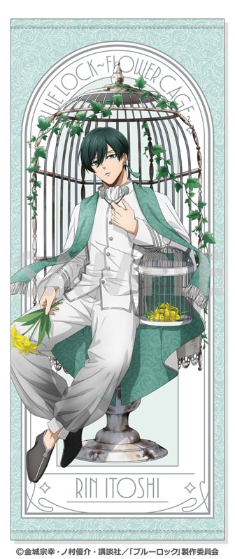 �֥롼���å� �ե������������Flower Cage����2.��� ��