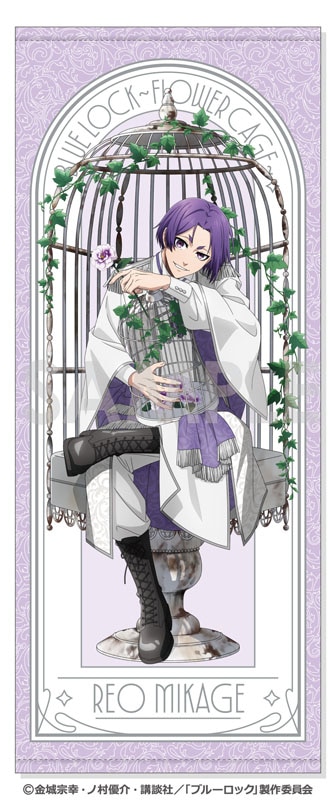 �֥롼���å� �ե������������Flower Cage����6.��� �貦