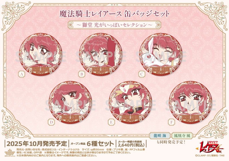 ��ˡ���Υ쥤������ �̥Хå����åȡ���Ʋ �������äѤ����쥯��������6������1���åȡ�