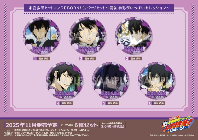 ͽ۲եҥåȥޥREBORN! ̥Хååȡ 郎äѤ쥯61åȡ