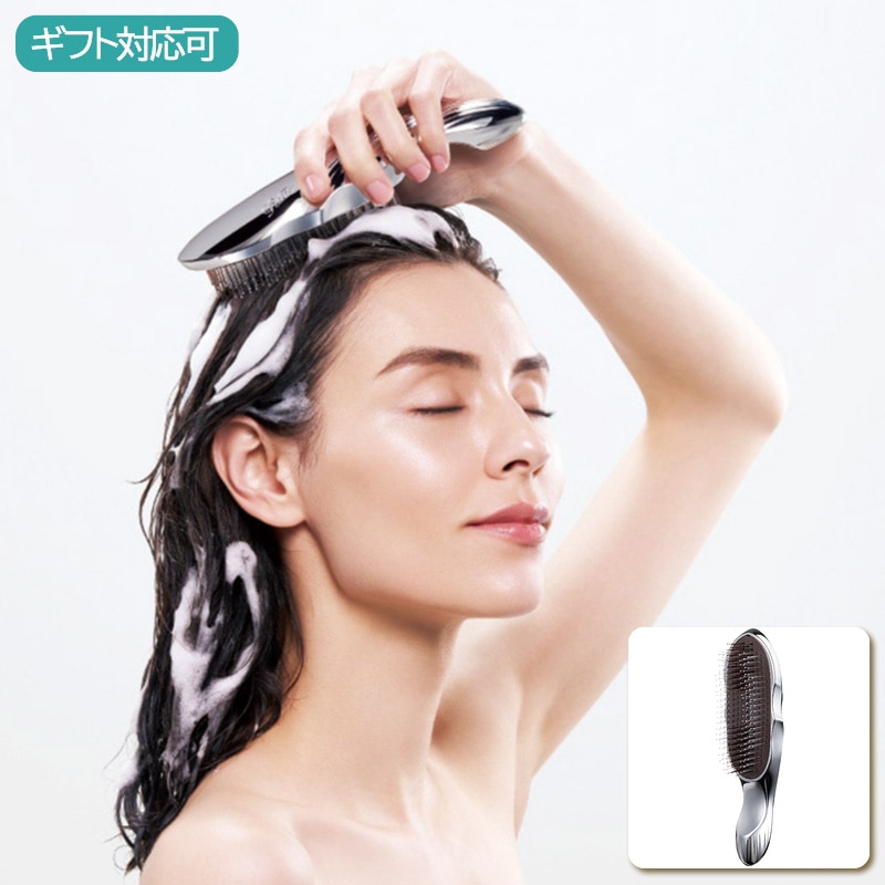ReFa ION CARE BRUSH