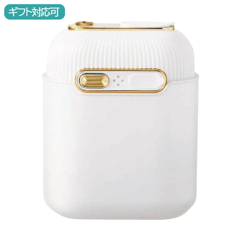 プリンク オーラルフロッサーミニCUBE