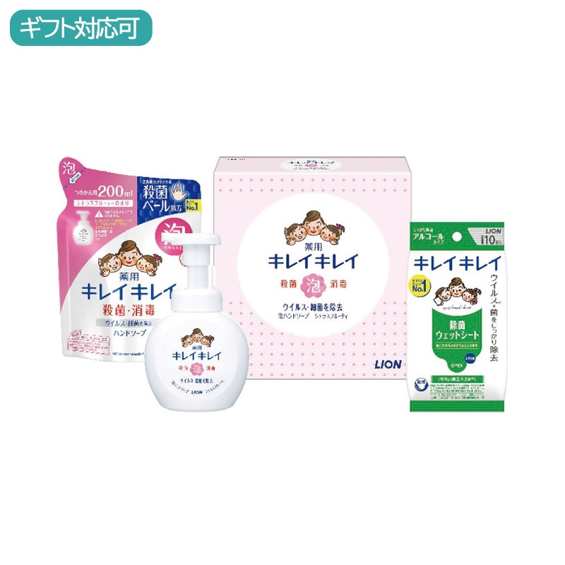 ライオン キレイキレイ薬用泡ハンドソープセット LBB-C