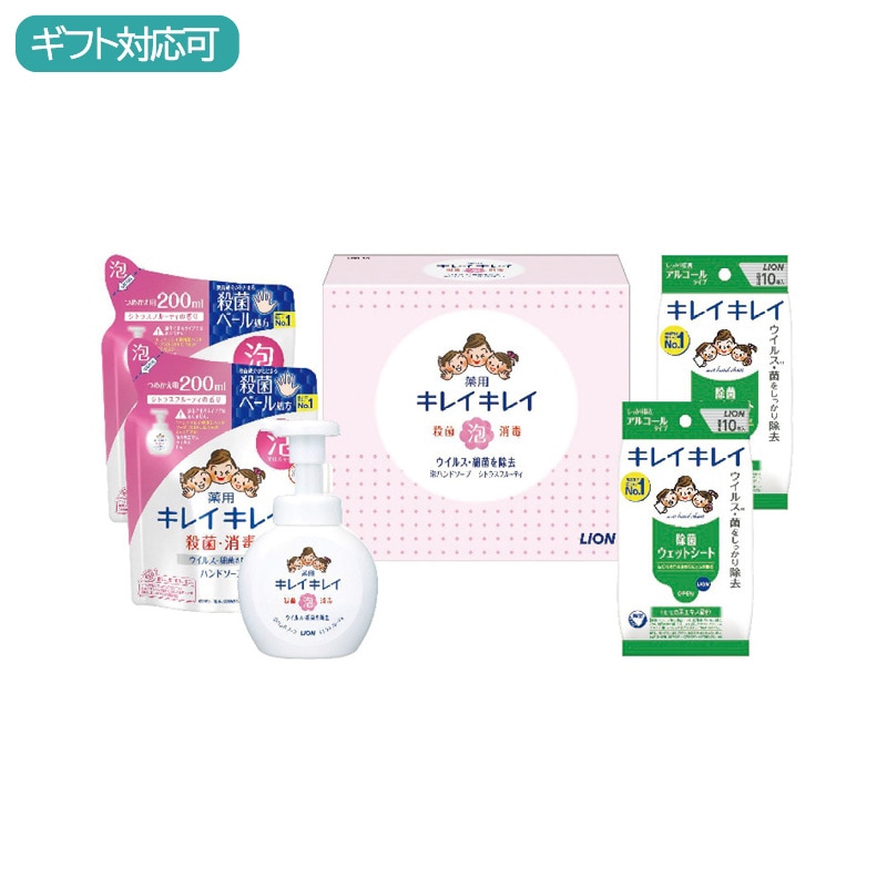 ライオン キレイキレイ薬用泡ハンドソープセット LBB-D