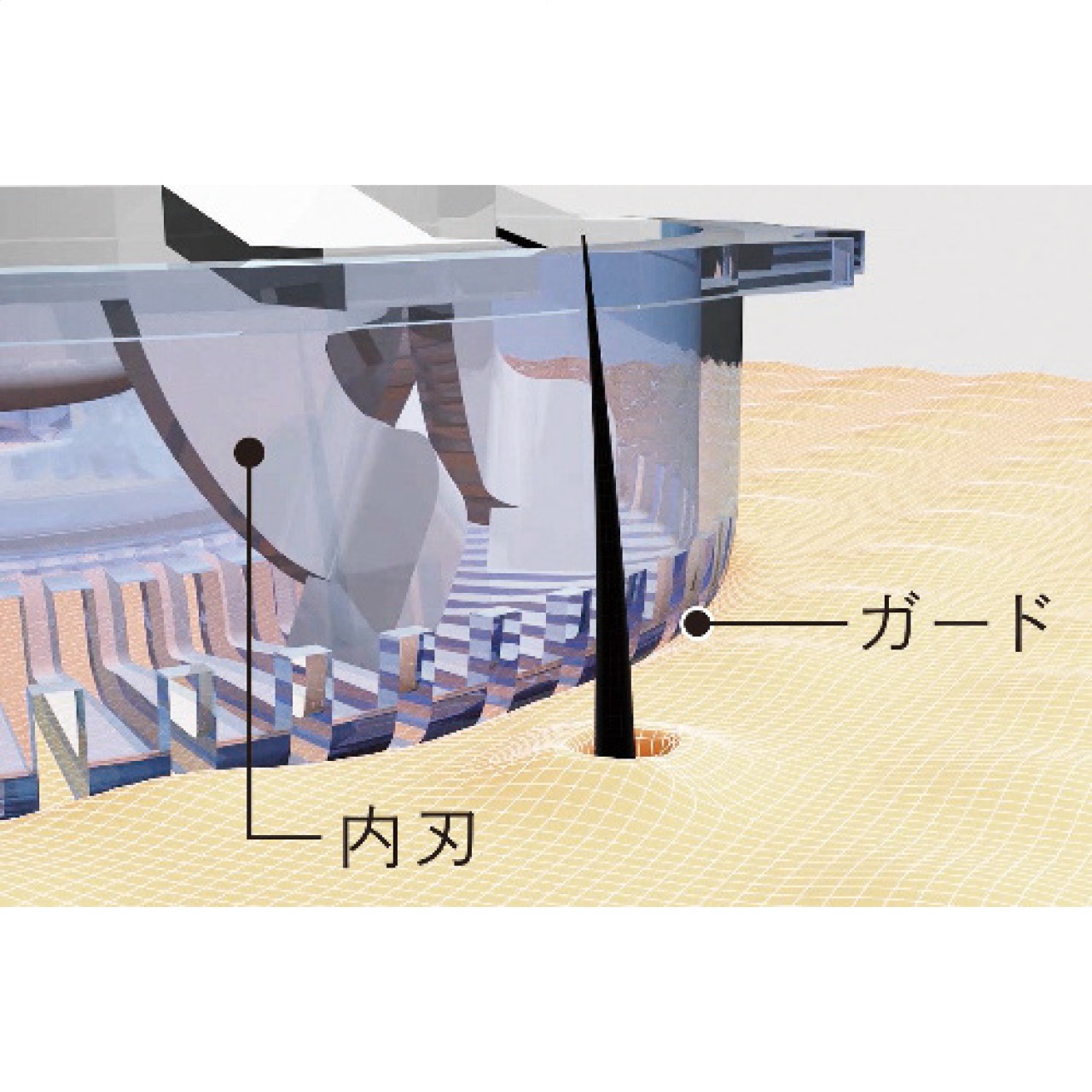 ReFa SKIM SHAVER