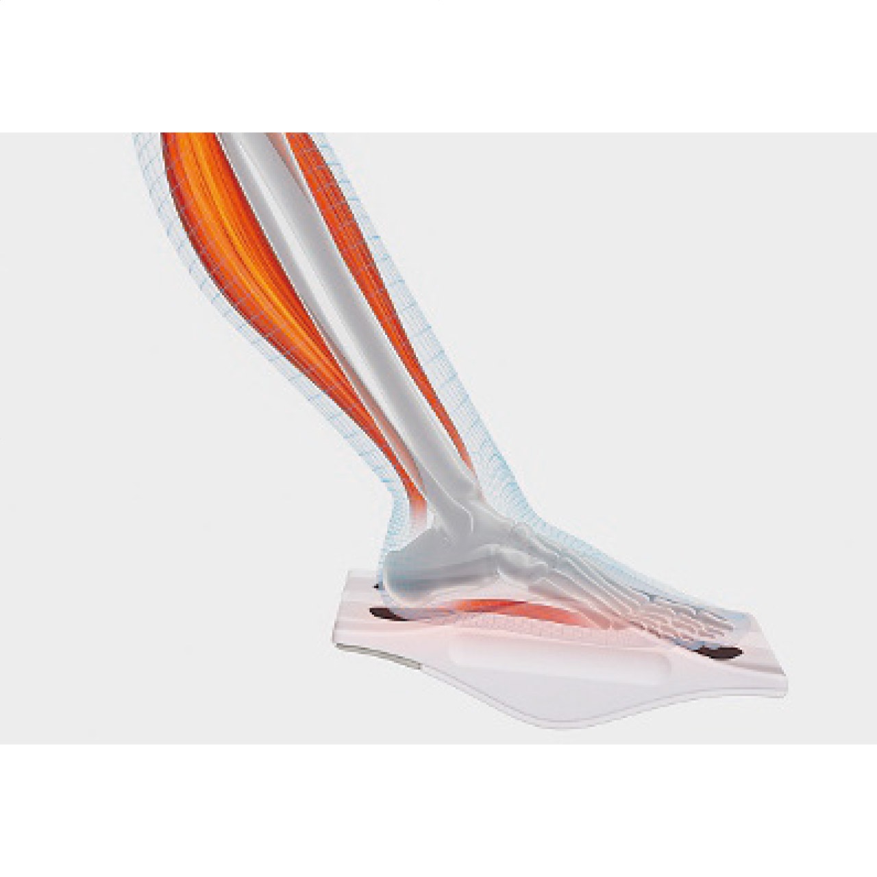 MTG SIXPAD Foot Fit 3