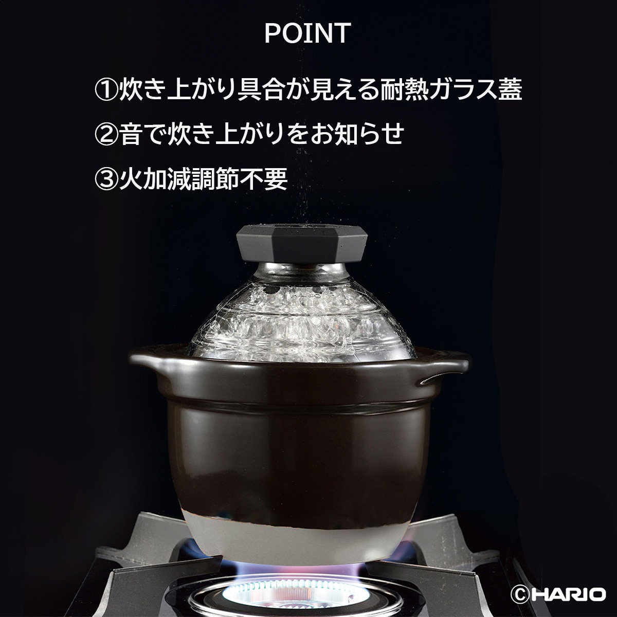 ハリオ フタがガラスのご飯釜1～2合 ガス火専用