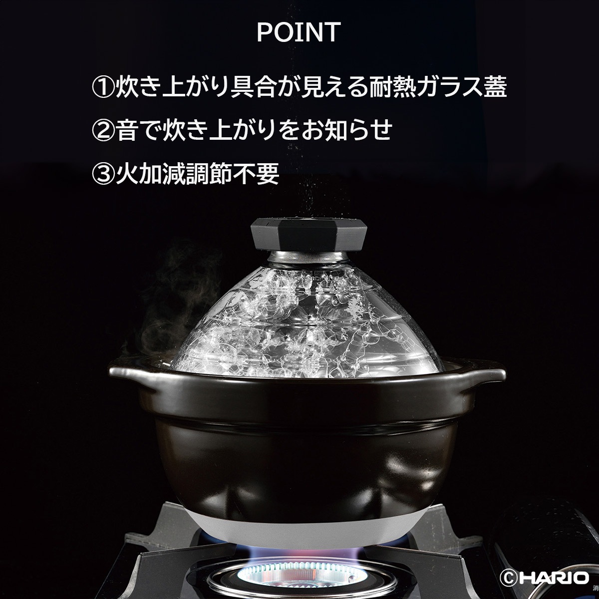 ハリオ フタがガラスのご飯釜2～3合 ガス火専用