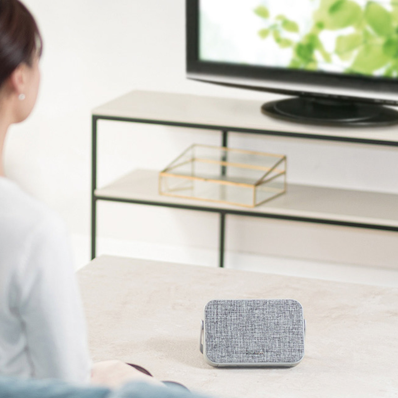 ライソン テレビ用ワイヤレススピーカー