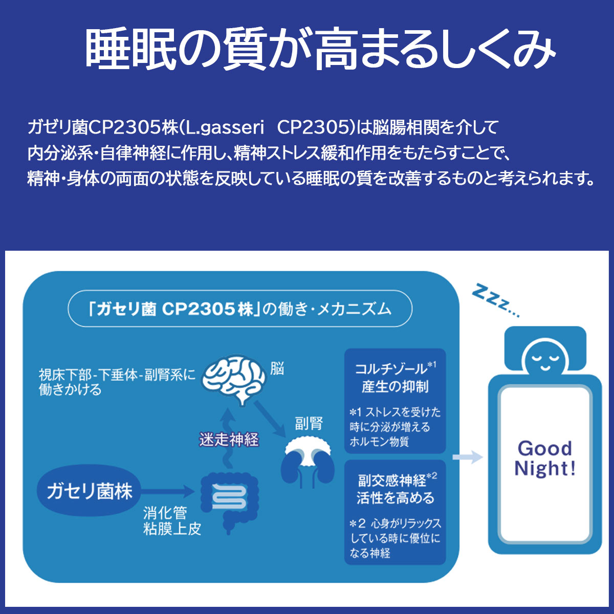 （数量限定品） カルピス PLUSカルピス 健康乳酸菌18本 睡眠・腸活ケア