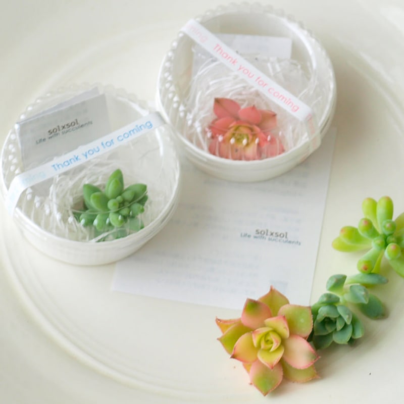 wedding / Sweet piece - プチギフト