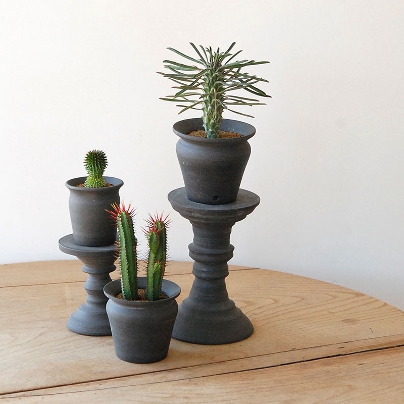 Euphorbia x 荻野揺子さんの器28~30