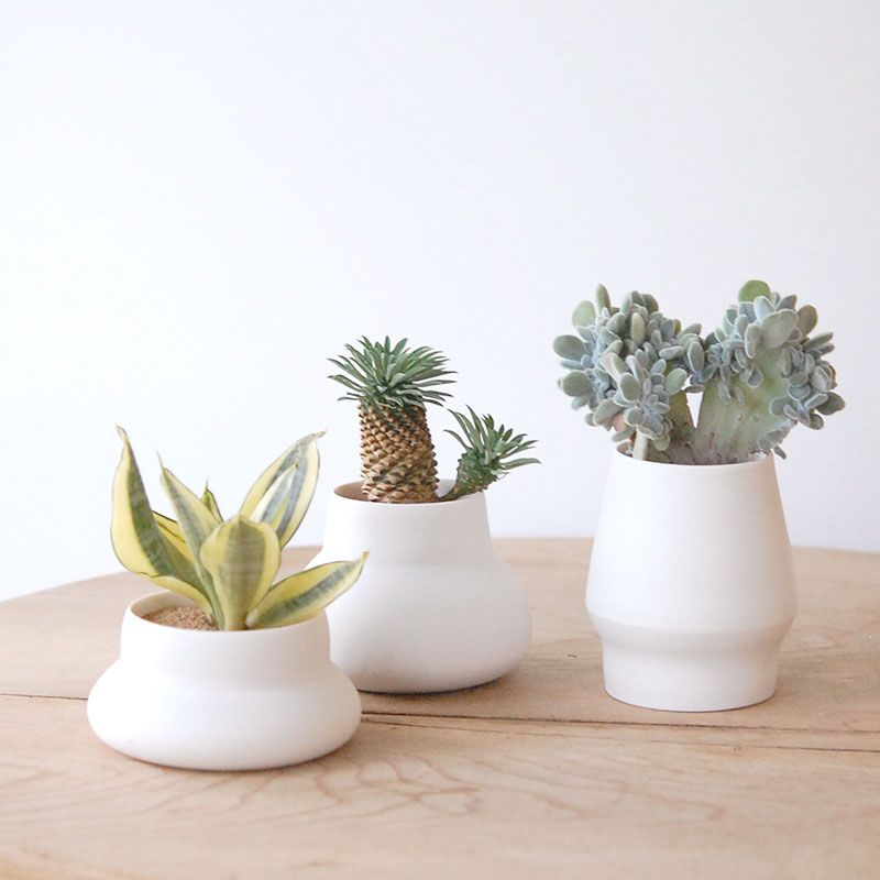 succulent x atelier Bulb 原田 敬子さんの器
