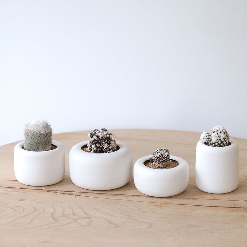 cactus x atelier Bulb 原田 敬子さんの器