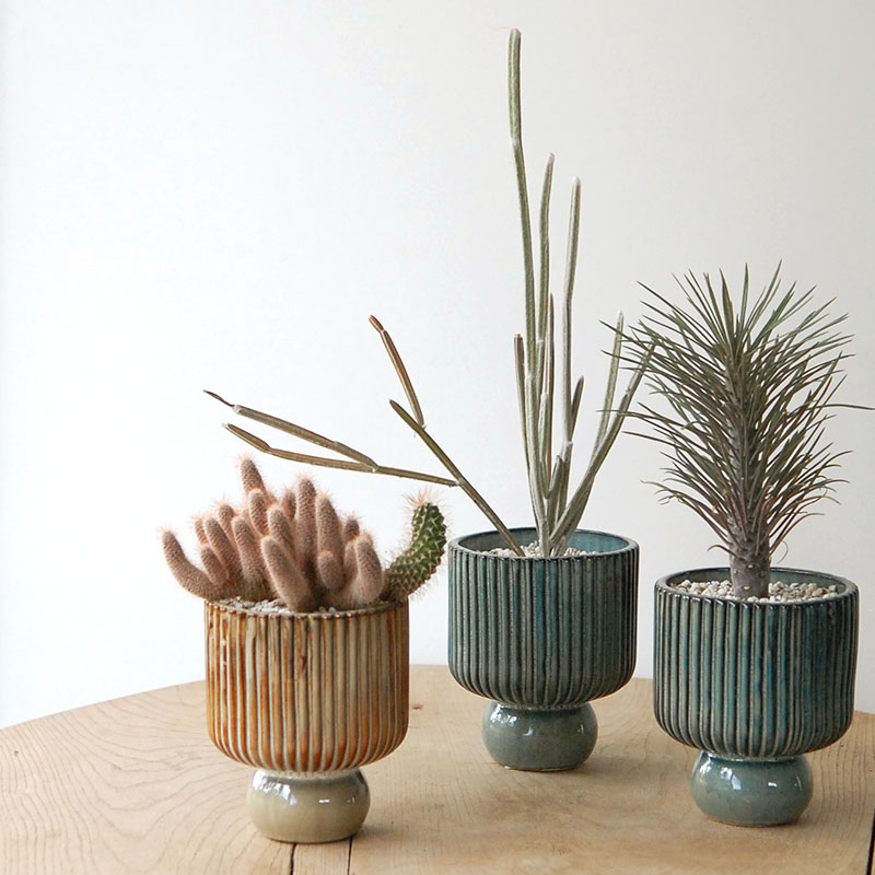 succulent x stripe  stand pot