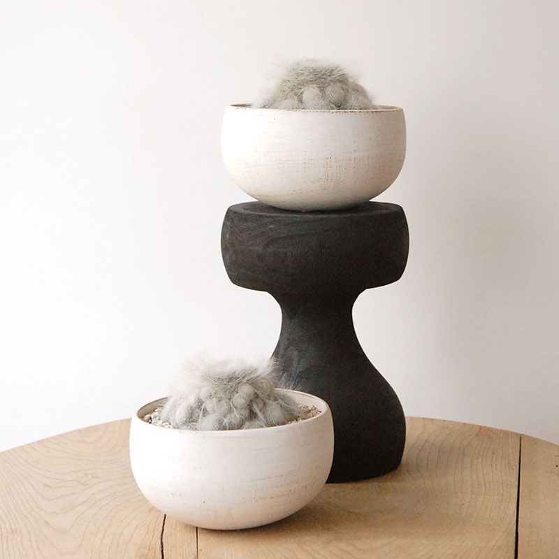 玉翁殿 x ホワイトロウポット