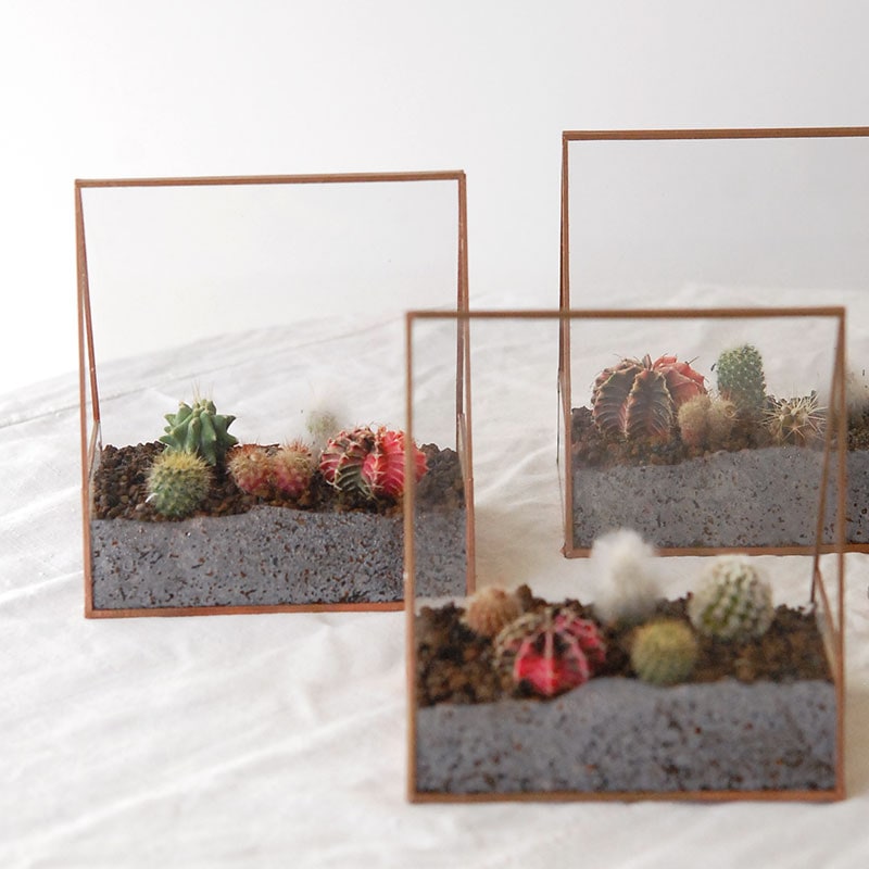 『 HOLIDAY SELECTION 』テラリウム