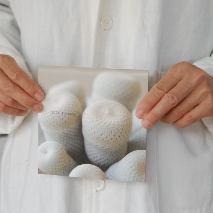 【日時指定不可・ポスティング送料込み】solxsolオリジナルカレンダー2026年