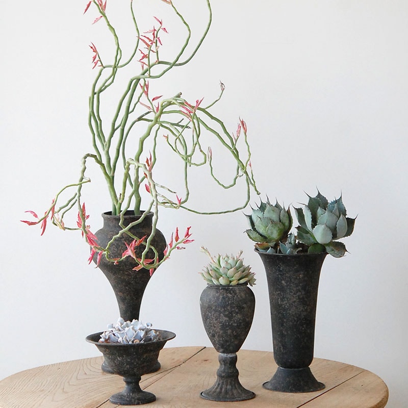 Succulent x アイアンゴブレット