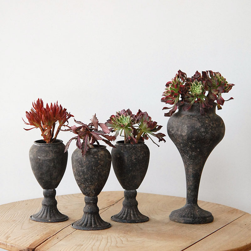 Succulent x アイアンゴブレット