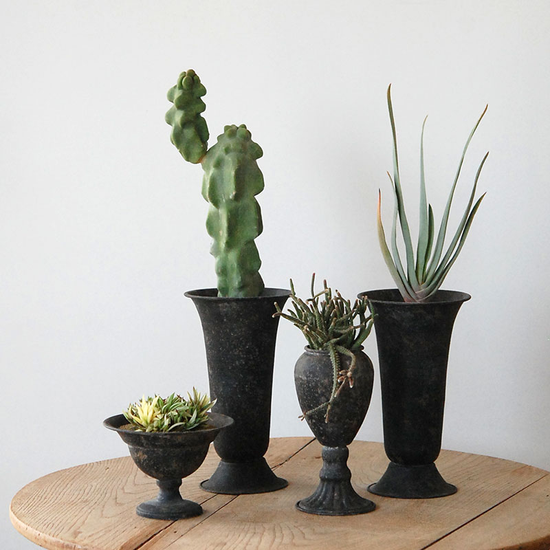 Succulent x アイアンゴブレット