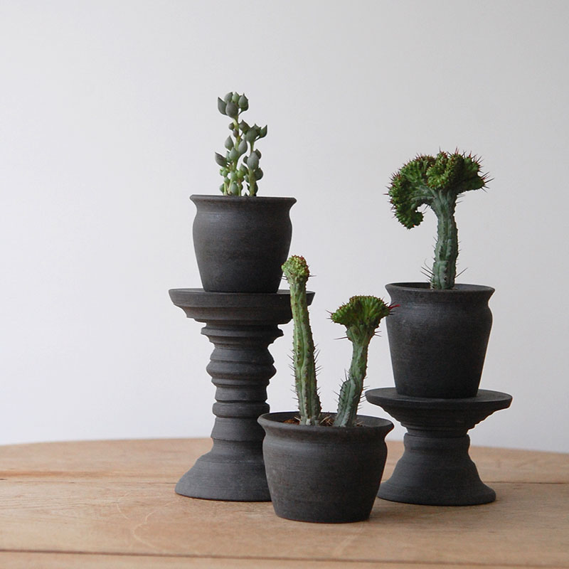 succulent x 荻野揺子さんの器