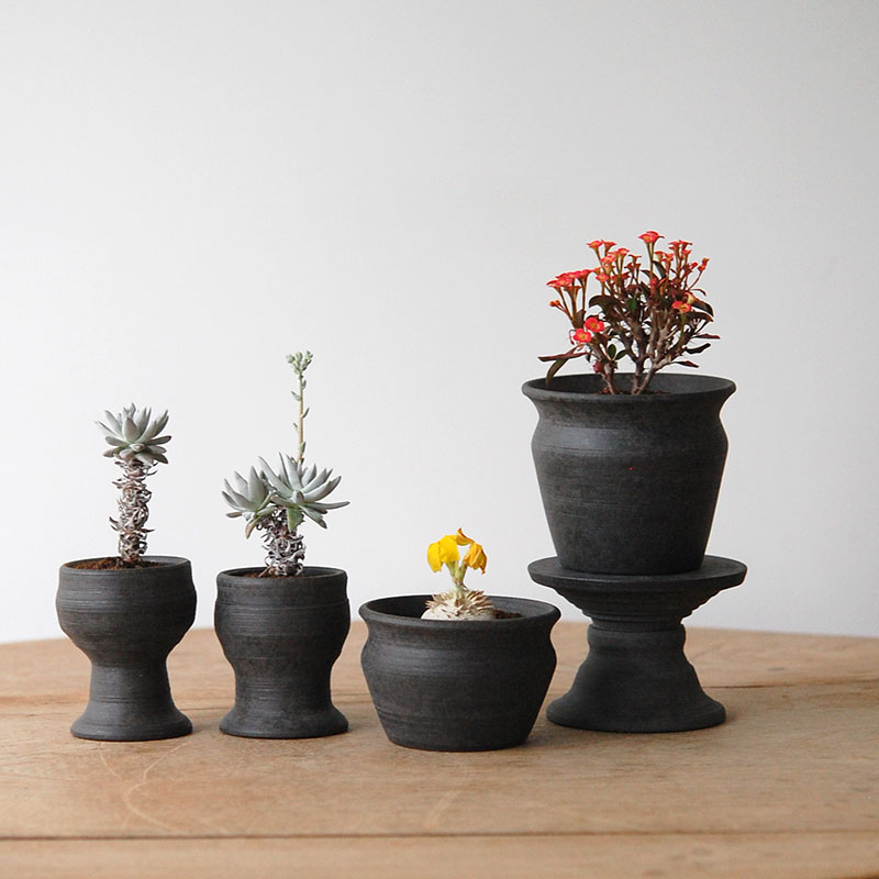 succulent x 荻野揺子さんの器